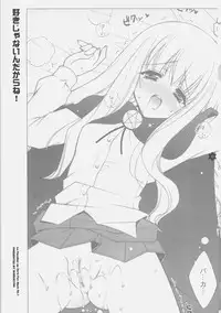 (SC34) [Shigunyan] Suki janai ndakara ne! (Zero no Tsukaima)