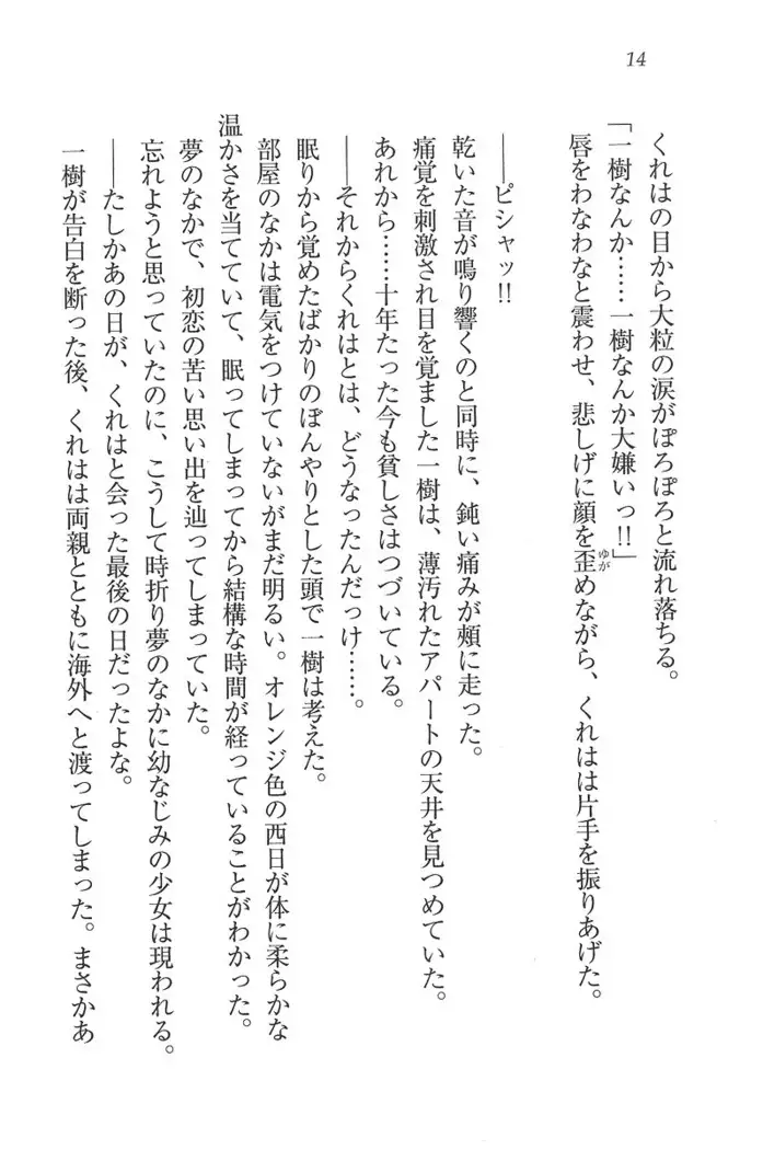 お嬢様はメイド様!？