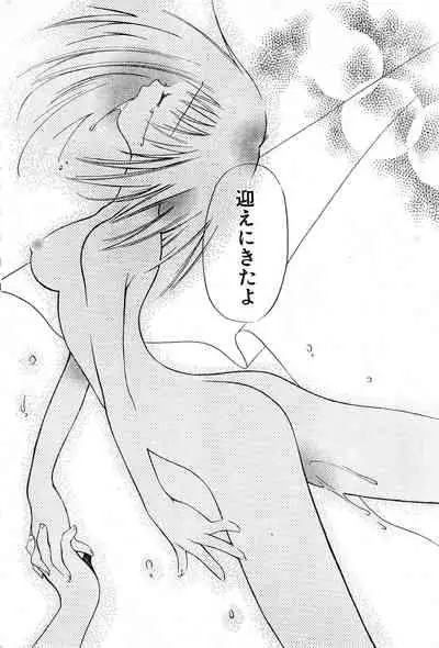 COMIC Zero-Shiki Vol. 9 1999