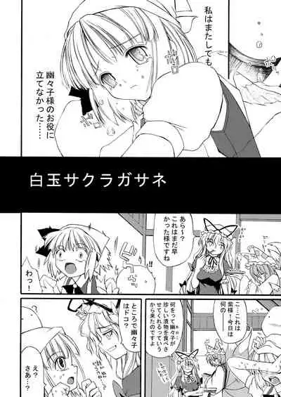 白玉サクラガサネ/サナギ