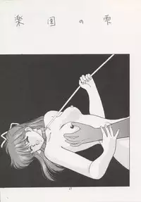 (C43) [Secret Society M (Kitahara Aki)] ANICE (Sonic Soldier Borgman)