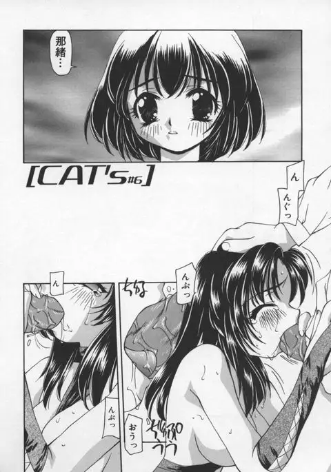 Cats On The Black Cage