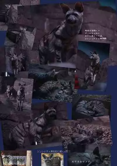 may Kemono Friends Thre Goudoushi