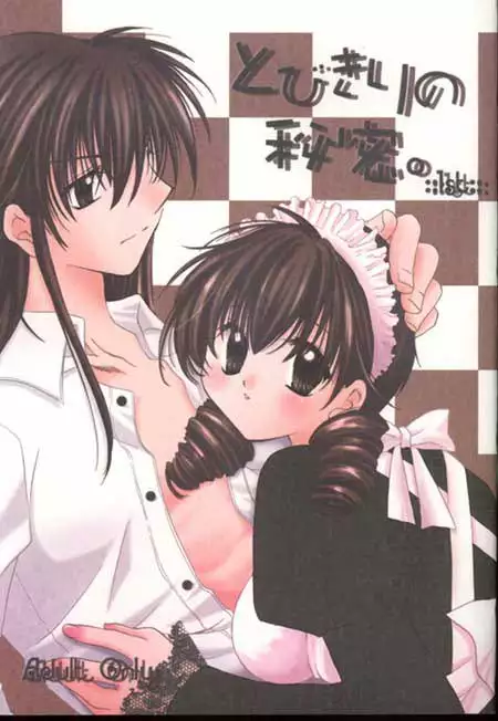 Tobikkiri no Himitsu