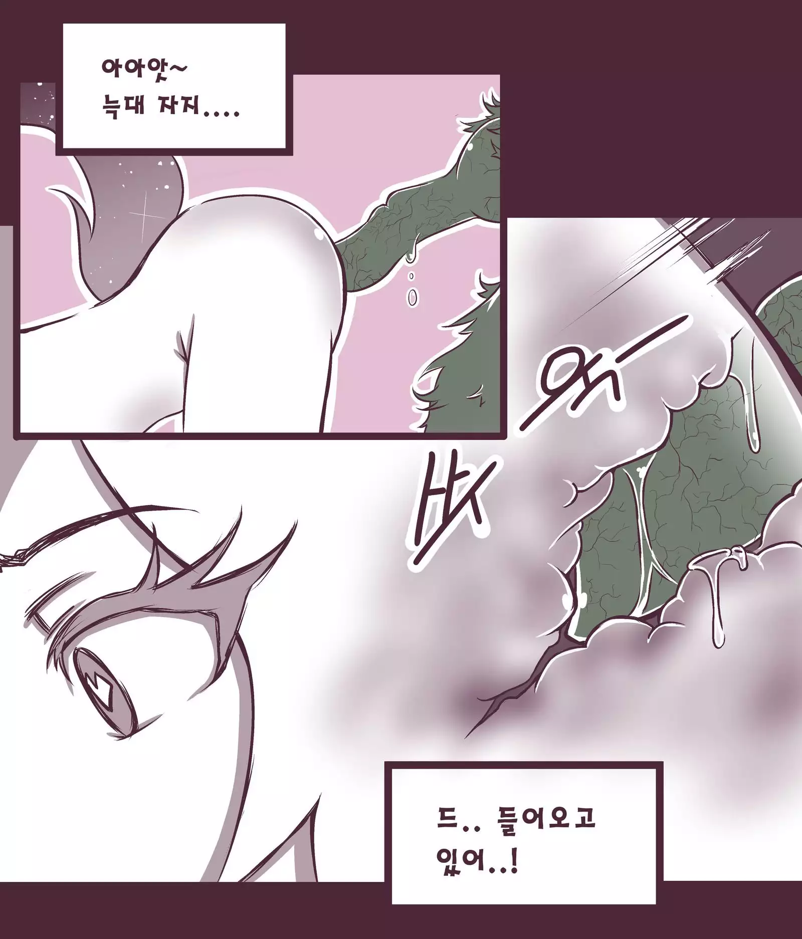 여우는 댕댕이과 2