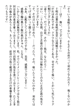 年上メイドの新婚日記
