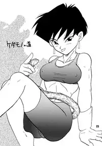 (C51) [Chirigami Goya, Fusuma Goten (Shoji Haruko)] ZZZ (Dragon Ball Z)