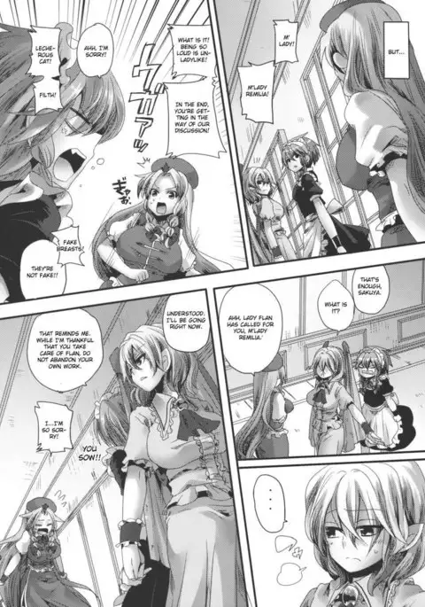 Adult Transformation FlanRemi Book