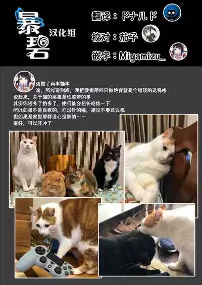UR Neko-chans Life | UR小猫咪们的日常生活