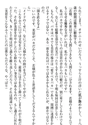 年上メイドの新婚日記