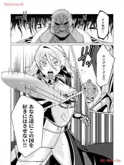 Yuusha-sama wa Houshuu ni Hitozuma wo go Kibou desu volume 3