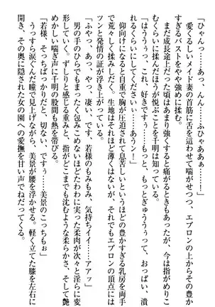 年上メイドの新婚日記