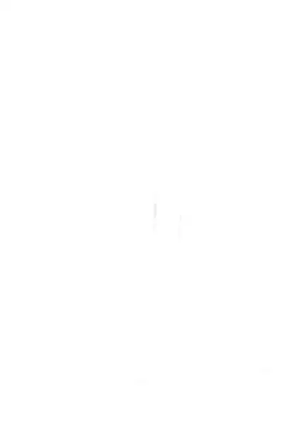 Natsuyasumi no Tebiki