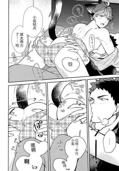 我想成为小岩的猫5I want to become Iwa-chan's Cat! 5