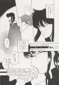 (C43) [Secret Society M (Kitahara Aki)] ANICE (Sonic Soldier Borgman)