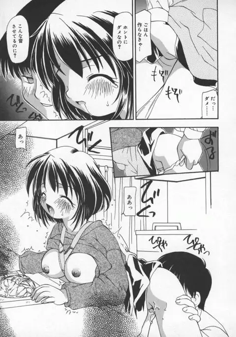 Cats On The Black Cage