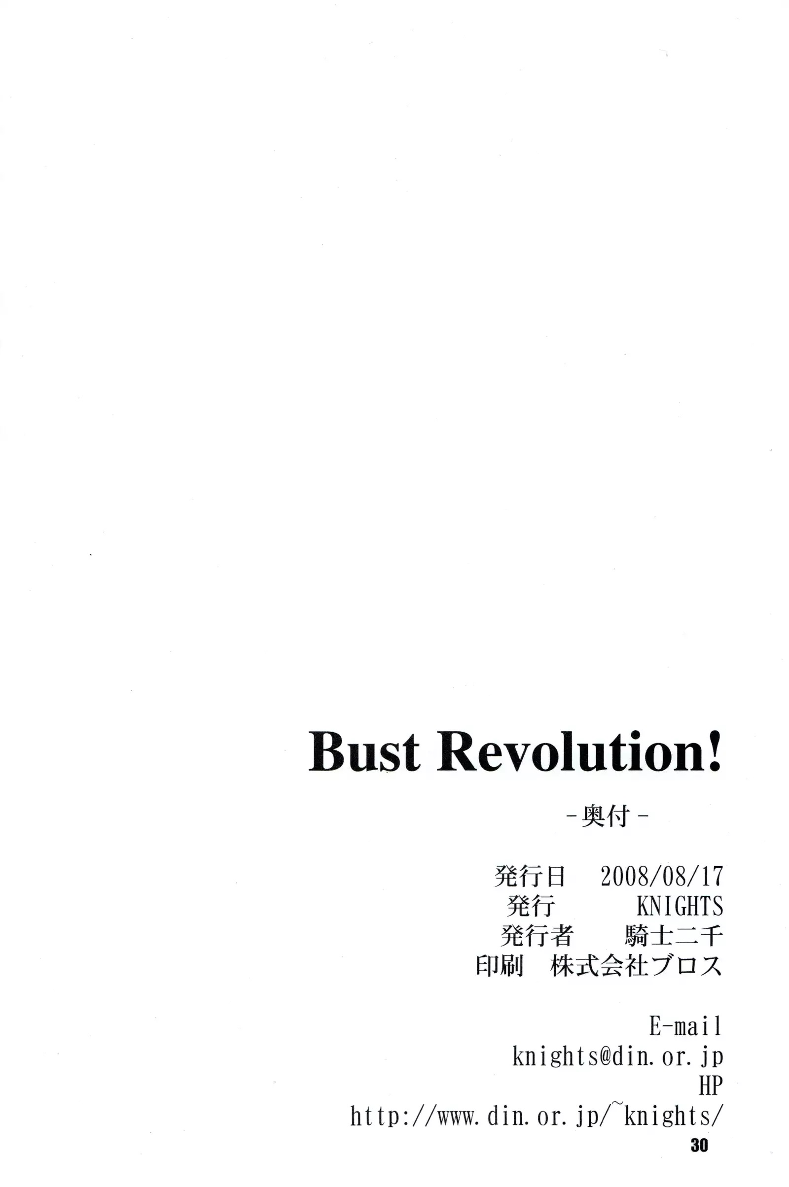 Bust Revolution!