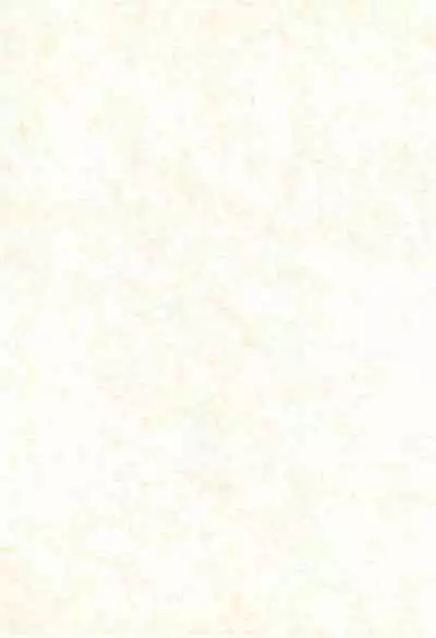 (C62) [Totocal LAND (Watase Hiroko)] FLOWER (Digimon Tamers)