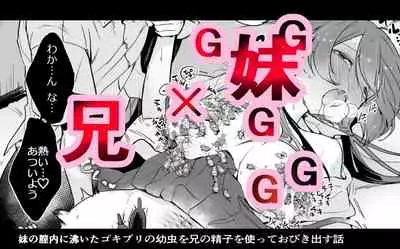 [Haechaimu (smomo)]ゴキ双子