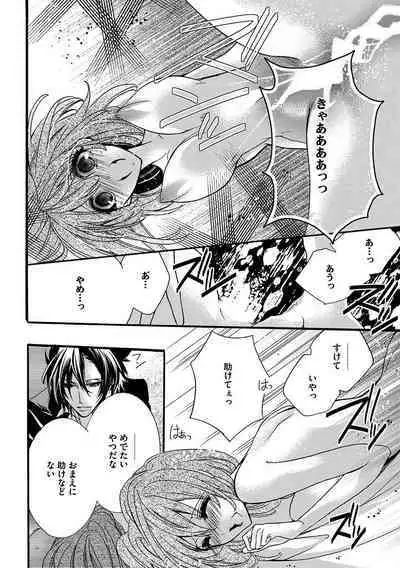 鬼畜兄弟の悶絶調教~私はいいなり奴隷~