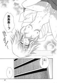 [Anthology] Pure Petit Vol. 18