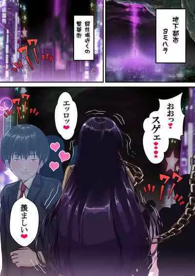 [アリオンキャンバス] 牝ブタ戦記セーラー対●忍参る (美少女戦士セーラームーン) [DL版]【Ver4.1】