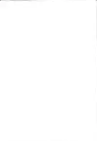 (C93) [Obumanjuu (obmas)] Oni no Sumu Ie Ni