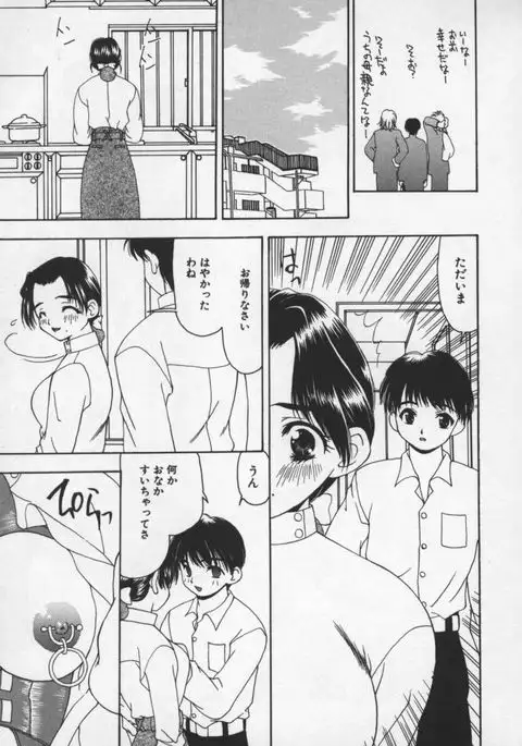 Cats On The Black Cage