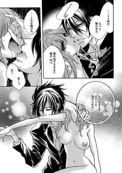 鬼畜兄弟の悶絶調教~私はいいなり奴隷~