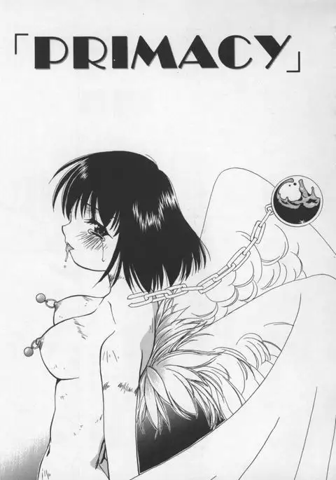 Cats On The Black Cage