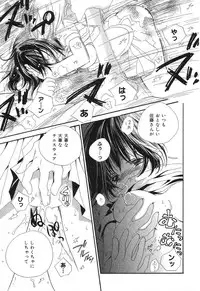 [Anthology] Pure Petit Vol. 12