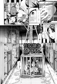 [Shomu] Black Desire -Mesu Ochi Seishori Pet-