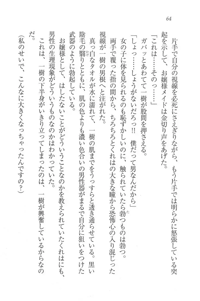 お嬢様はメイド様!？