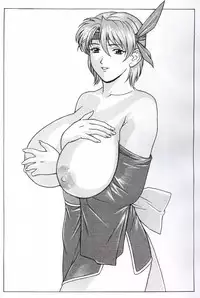 (C60) [D-Factory (Zouroku)] DDT (Dead or Alive)