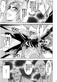 [Crimson (Carmine)] Sefiria Kiwami (Black Cat)