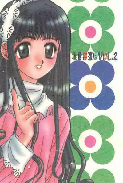 Momoiro Settoudan Vol. 2