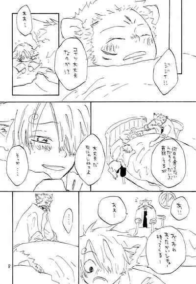 海の虹が沈む森