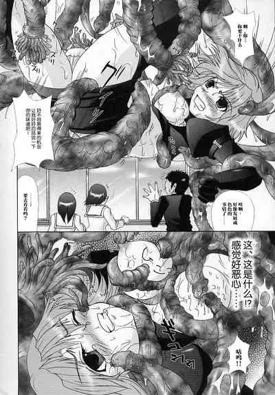 聖正メルサニーヌ