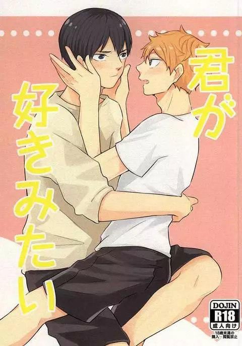 君が好きみたい