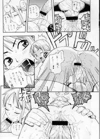 (C63) [EVOLUTION BRAND] Koki no Tane (One Piece)