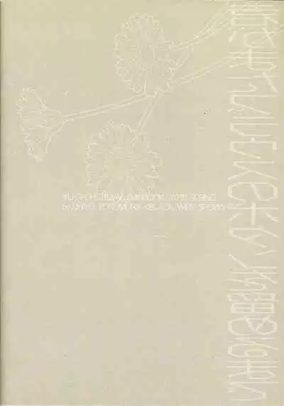 until the blouse is buttoned up