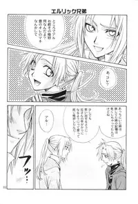 [Kozouya (Eiki Eiki, Zaou Taishi)] Honey Hunt (Fullmetal Alchemist)