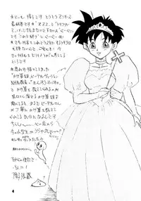 (C51) [Chirigami Goya, Fusuma Goten (Shoji Haruko)] ZZZ (Dragon Ball Z)