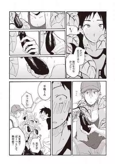 Hatomugi Batake de Tsukamaete - The Catcher in the Hato