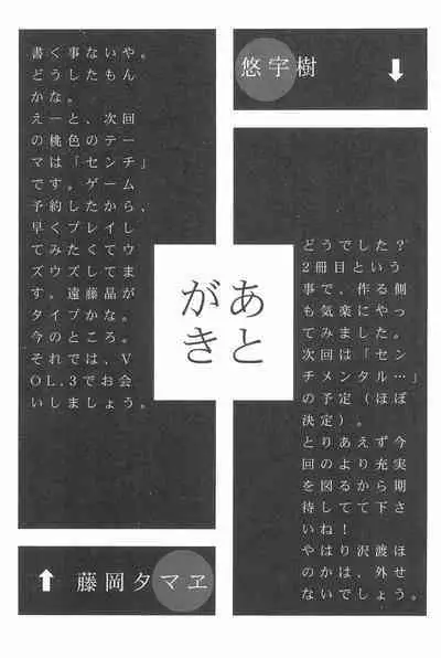 Momoiro Settoudan Vol. 2