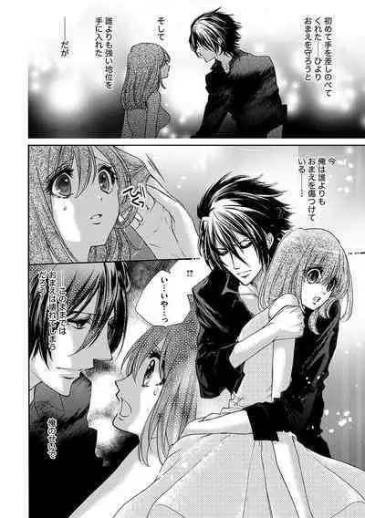 鬼畜兄弟の悶絶調教~私はいいなり奴隷~