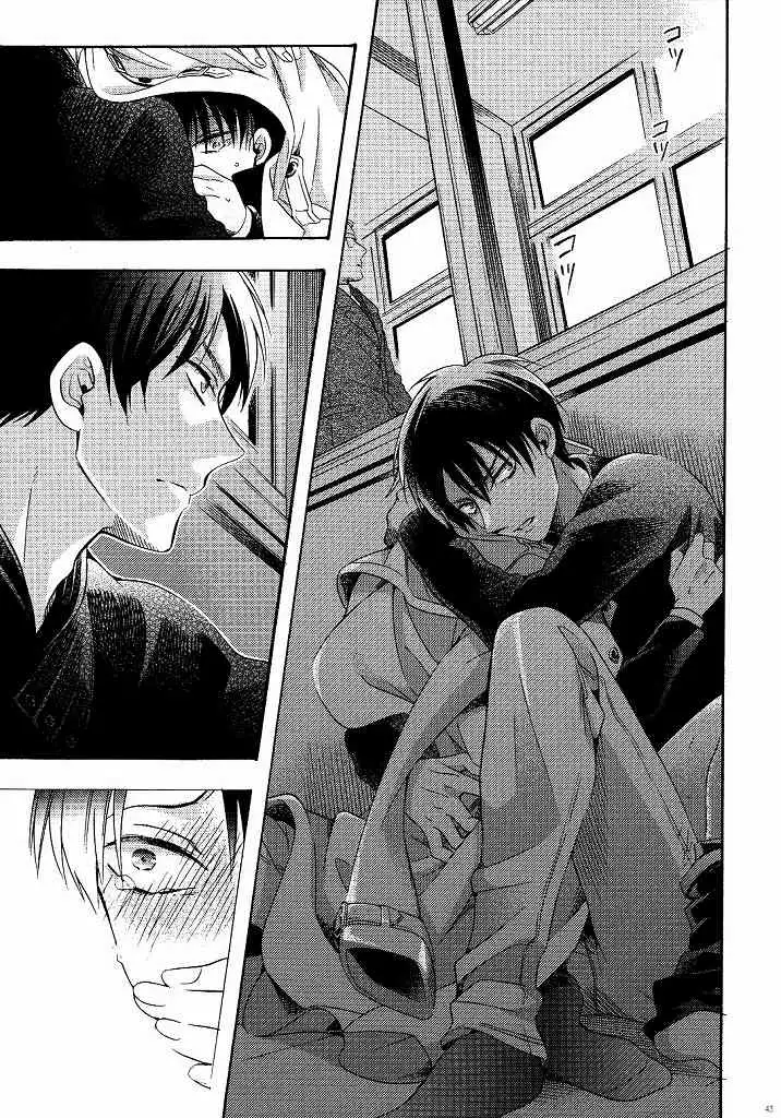 向日葵の咲く冬