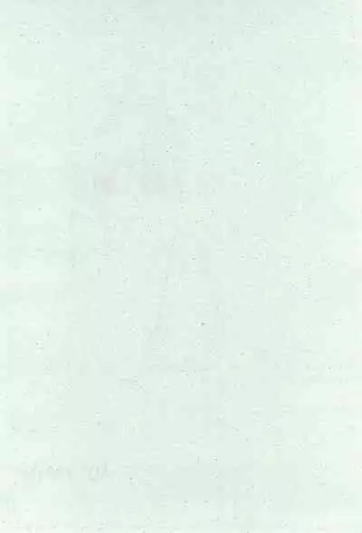 Momoiro Settoudan Vol. 2