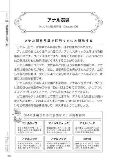 Zero kara Hajimeru SM Manual Kawaii Dorei Shiikujutsu