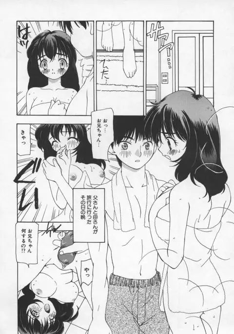 Cats On The Black Cage